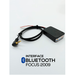 Interface Bluetooth Focus 2009