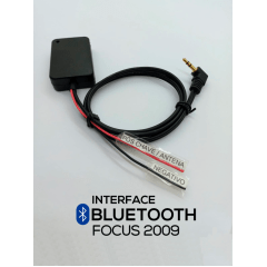 Interface Bluetooth Focus 2009